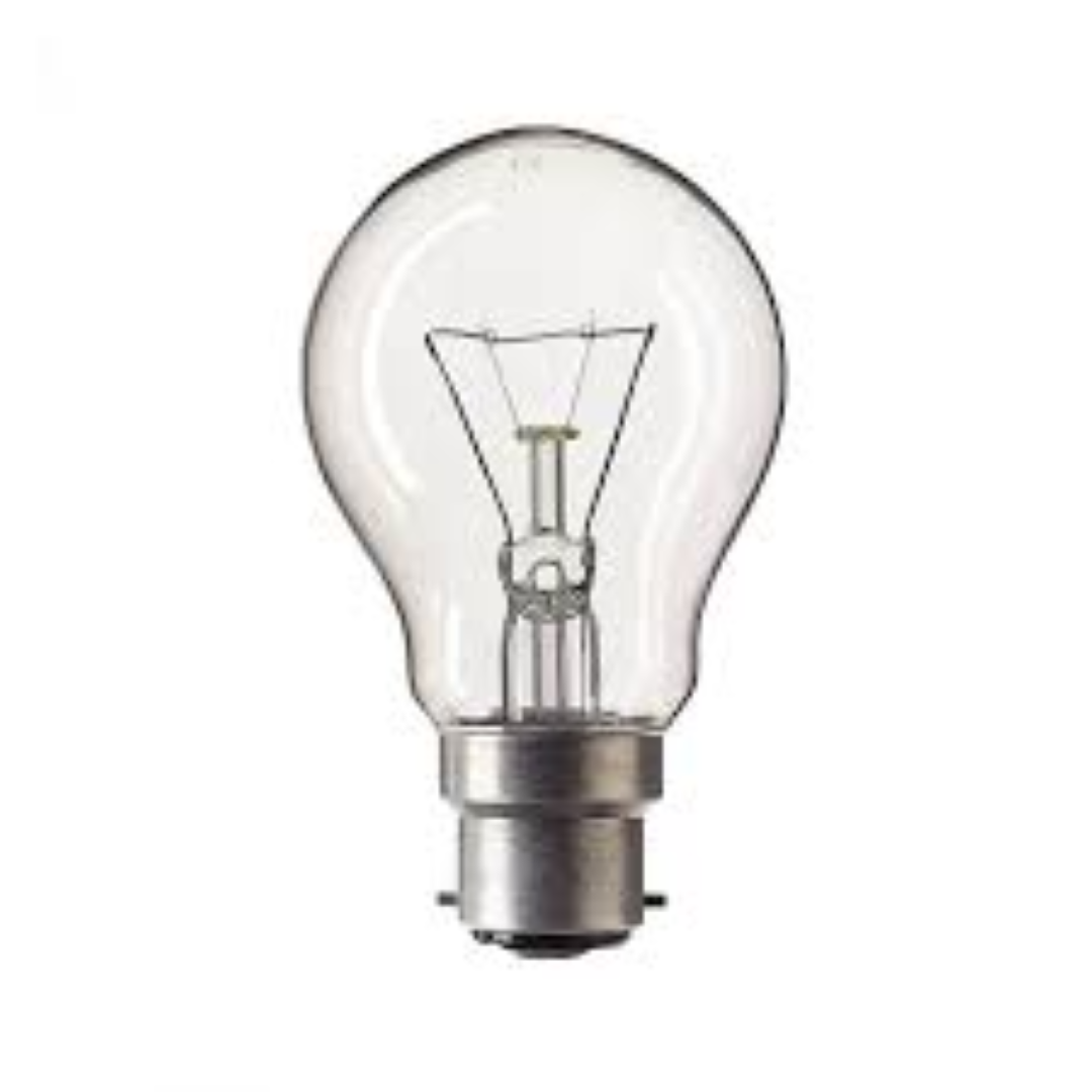 PHILIPS GLS 230V 100W B22 FR A55